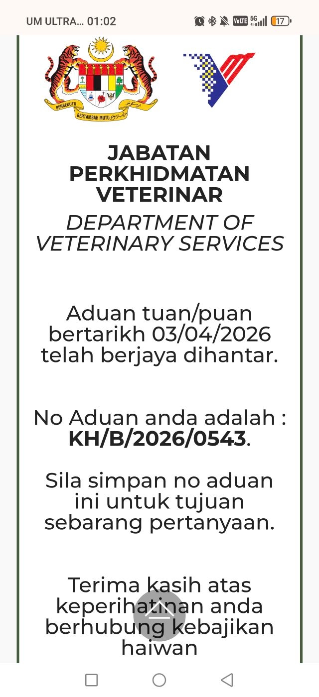 dera kucing