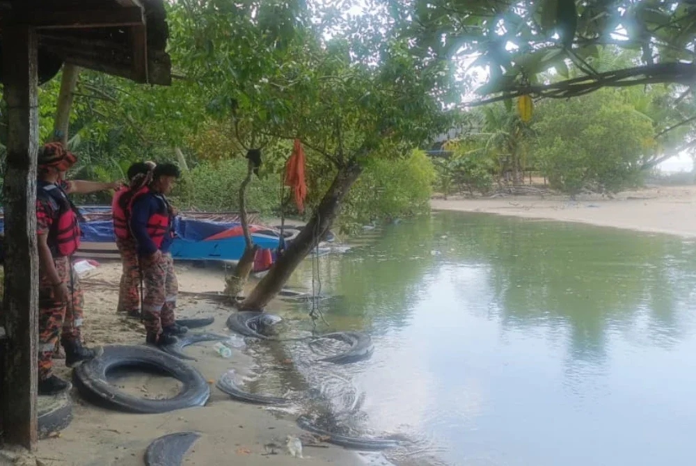 disambar buaya
