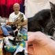 jaga kucing