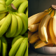 jenis pisang di malaysia