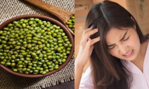 petua guna kacang hijau