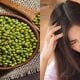 petua guna kacang hijau