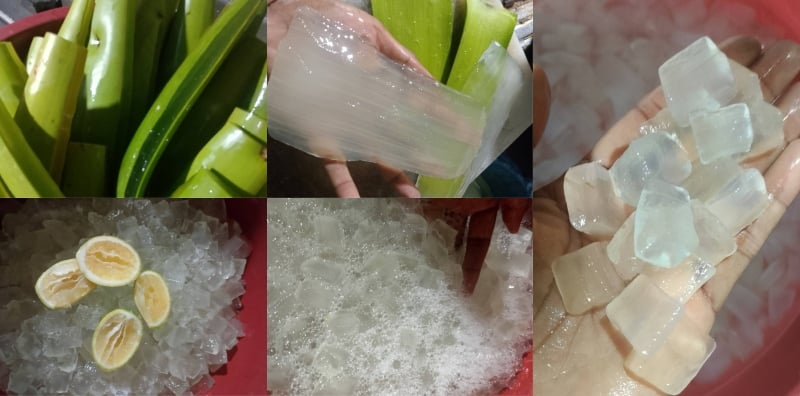 proses aloe vera