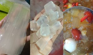 proses aloe vera