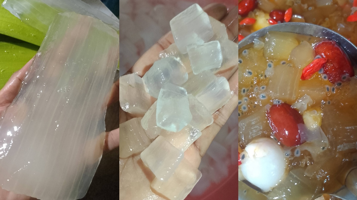 proses aloe vera