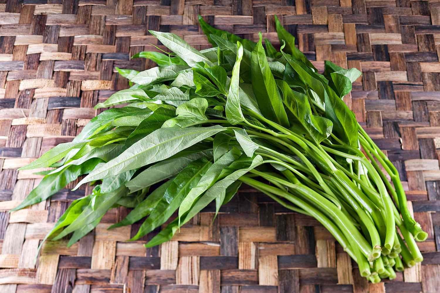 sayur mudah tanam