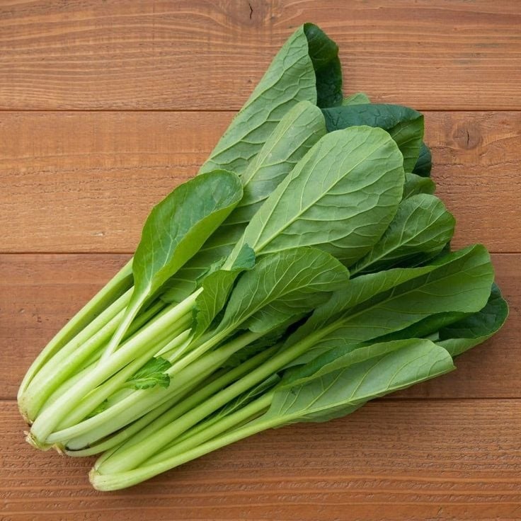 sayur mudah tanam 