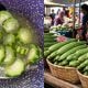 sayur petola