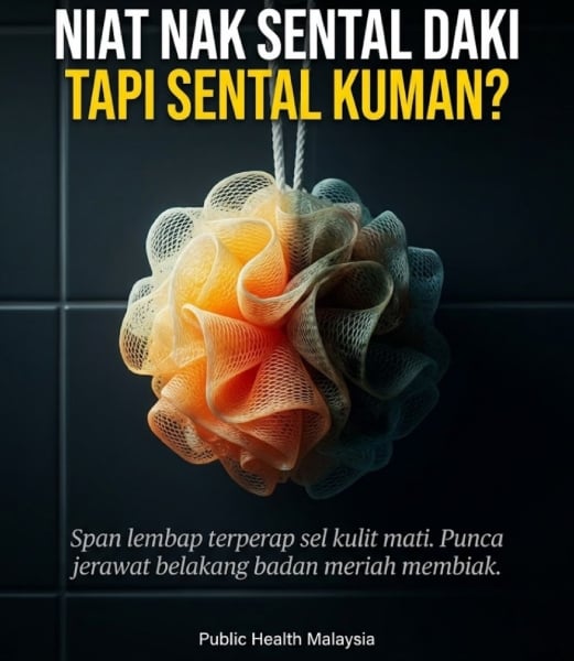 span mandi