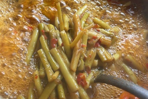 sulur keladi