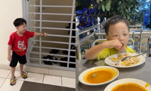 ANAK JAGAAN