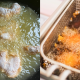 AYAM BERDARAH