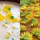 dessert tradisional
