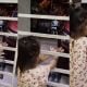 doa sebelum pergi kerja