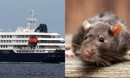HANTAVIRUS