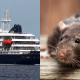 HANTAVIRUS
