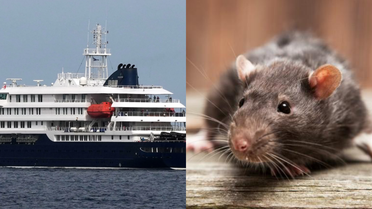 HANTAVIRUS