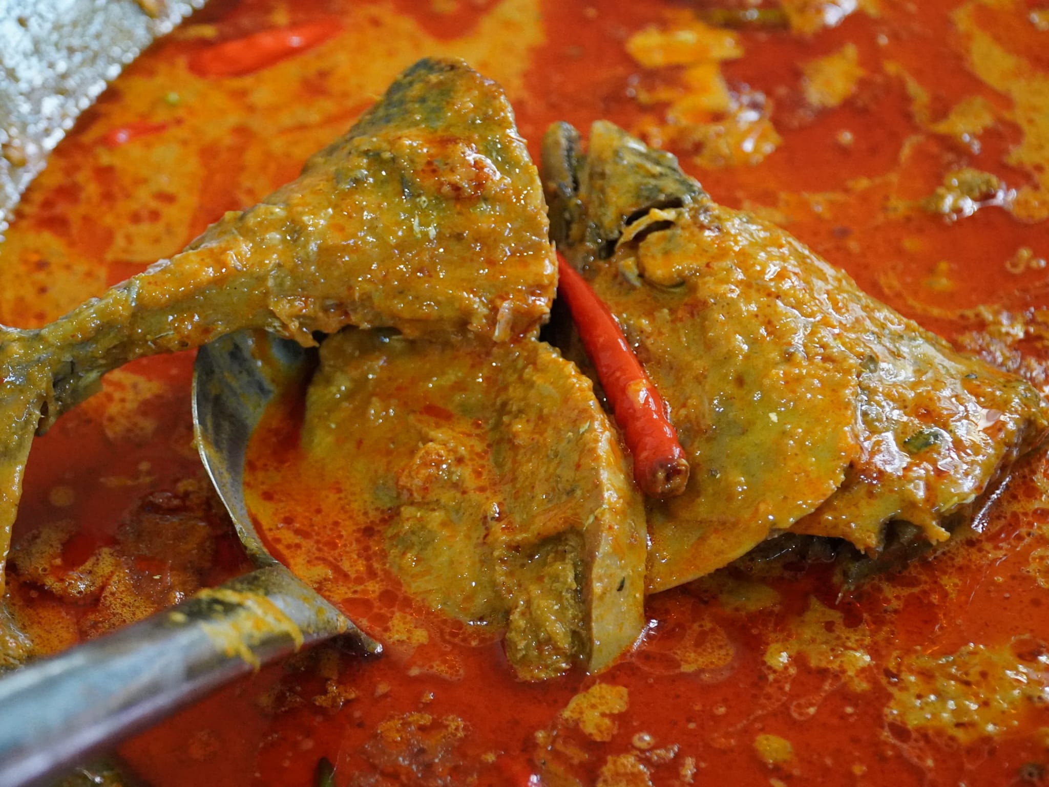 IKAN TONGKOL HITAM