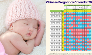 KALENDAR CINA