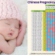 KALENDAR CINA