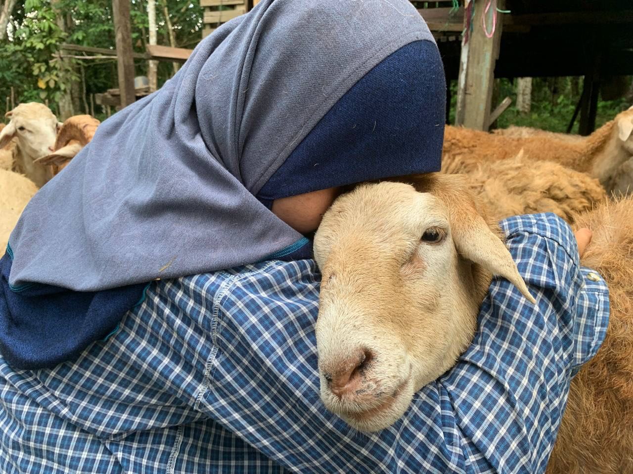 IBADAH KORBAN