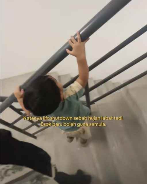 lif rosak