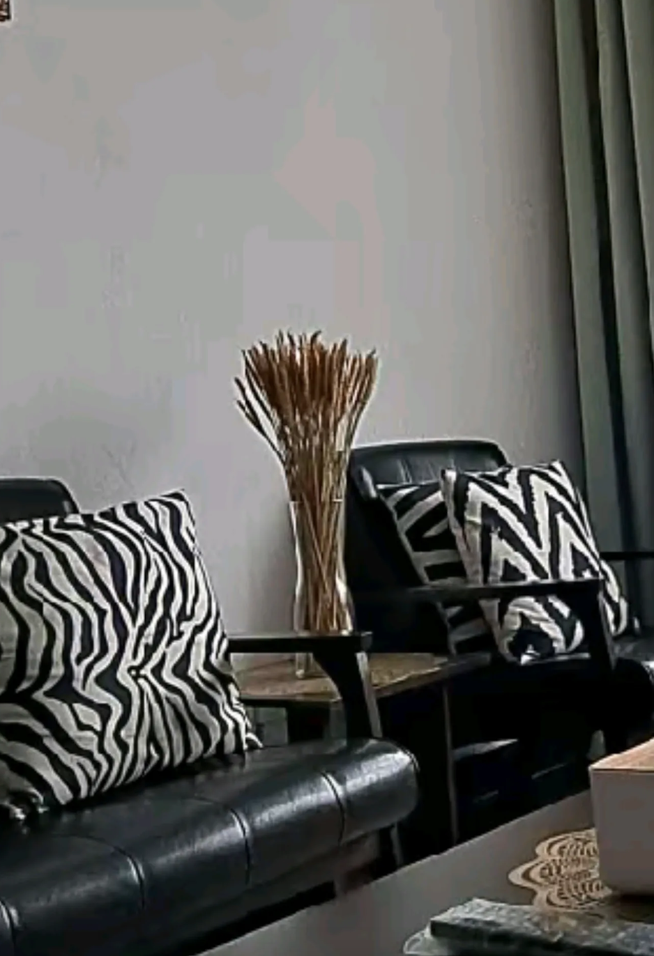 DAUN PAMPAS
