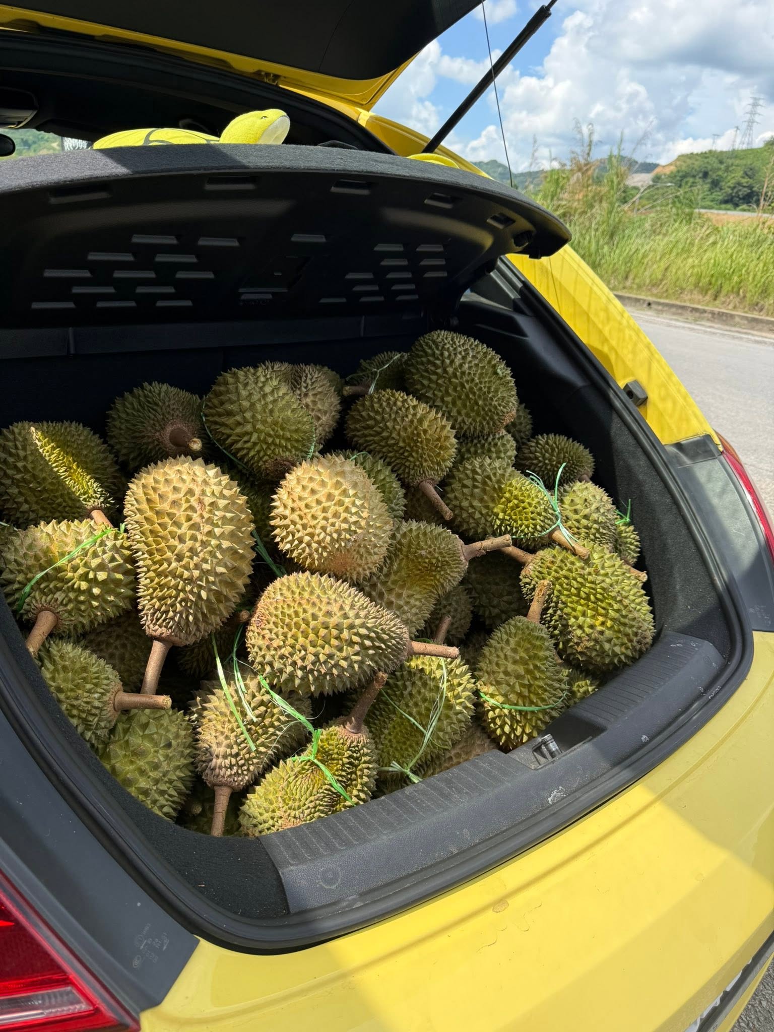 buah durian