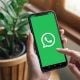 aplikasi whatsapp