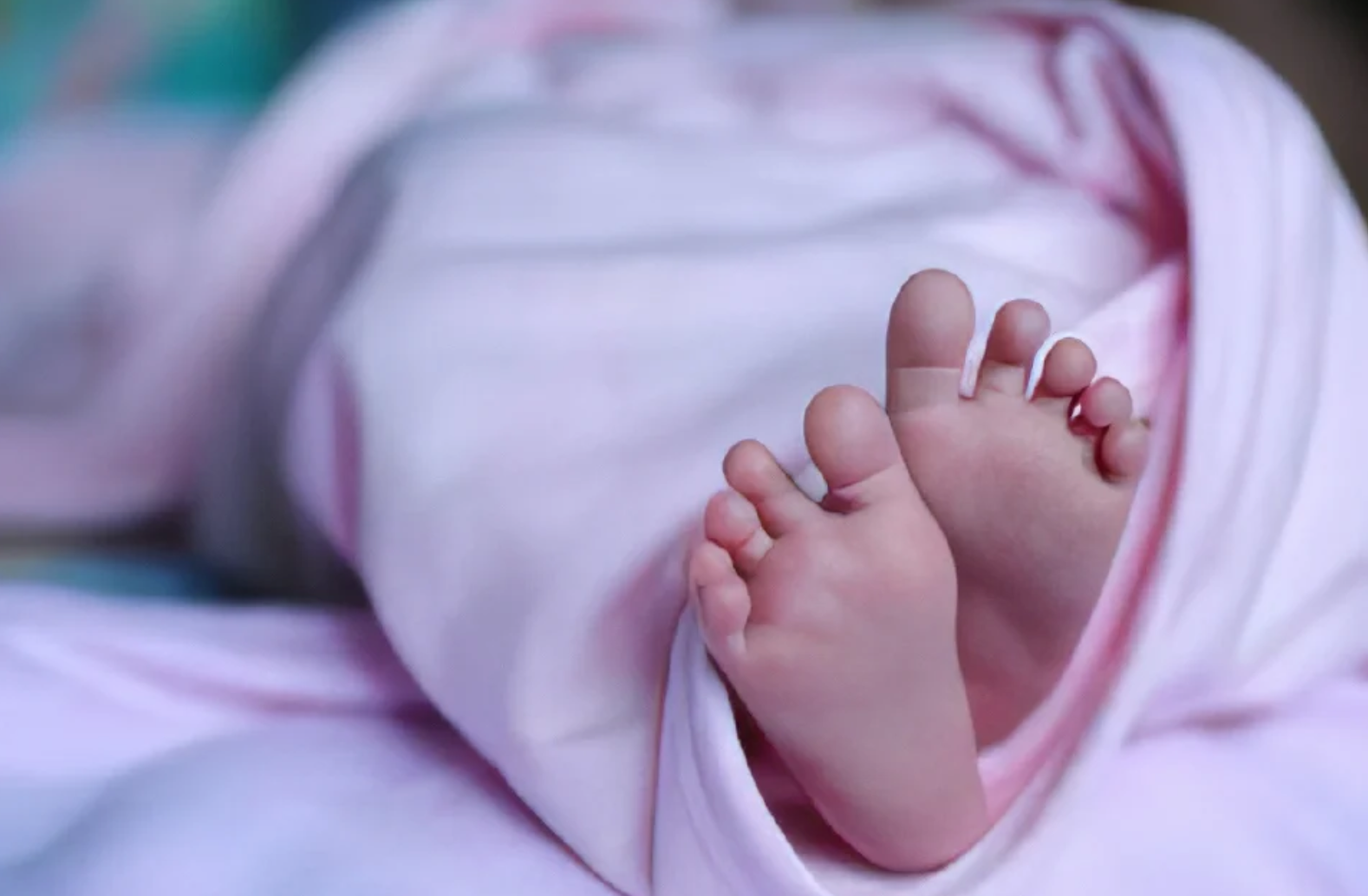 BAYI 11 BULAN