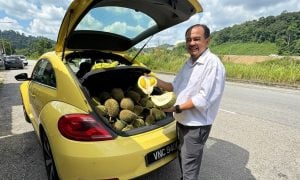 buah durian