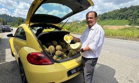 buah durian