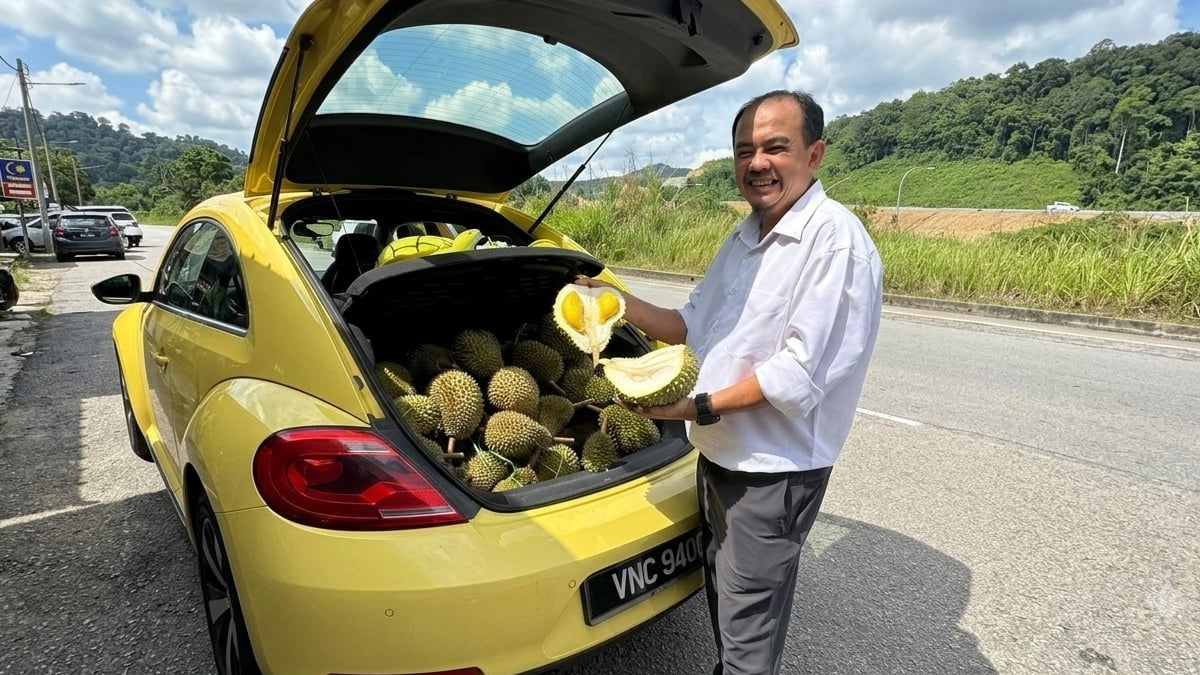 buah durian
