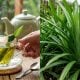 daun pandan