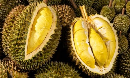 harga durian