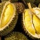 harga durian