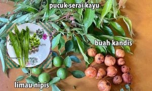JENIS ULAM