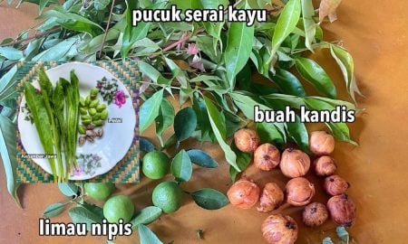 JENIS ULAM