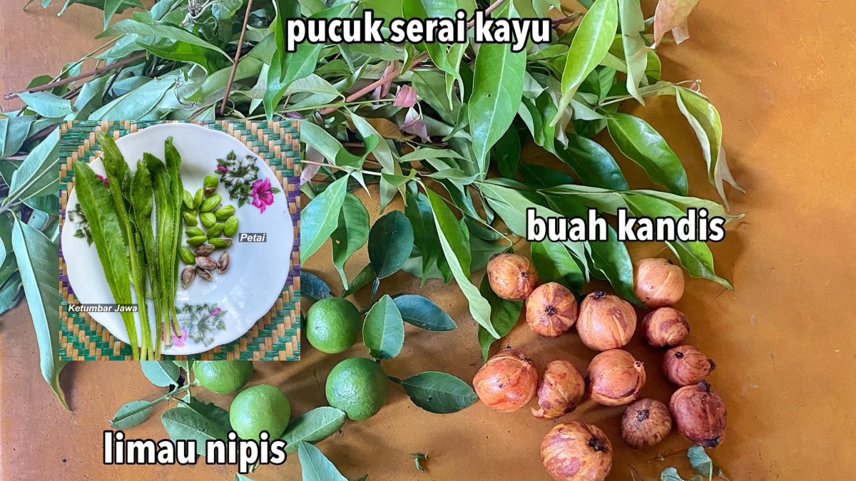 JENIS ULAM