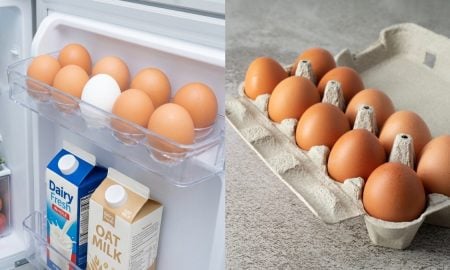 simpan telur