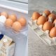 simpan telur