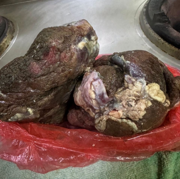 sumbangan daging korban 