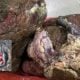 sumbangan daging korban