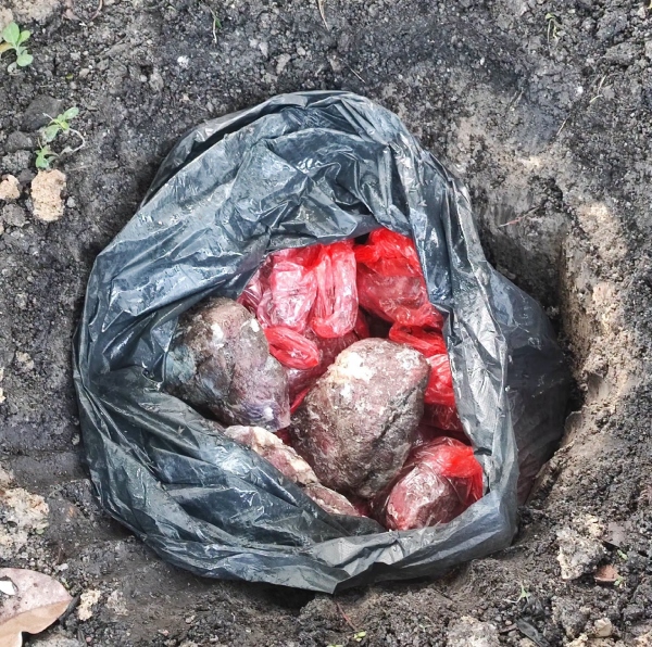 sumbangan daging korban 