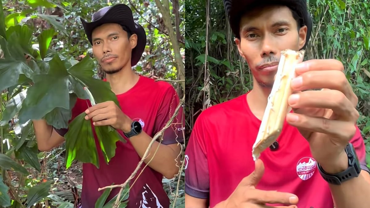 sumber makanan