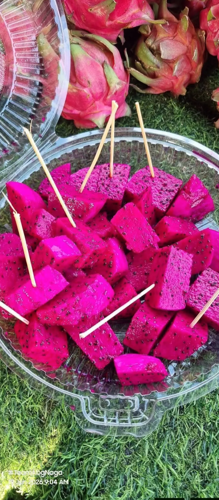 BUAH NAGA