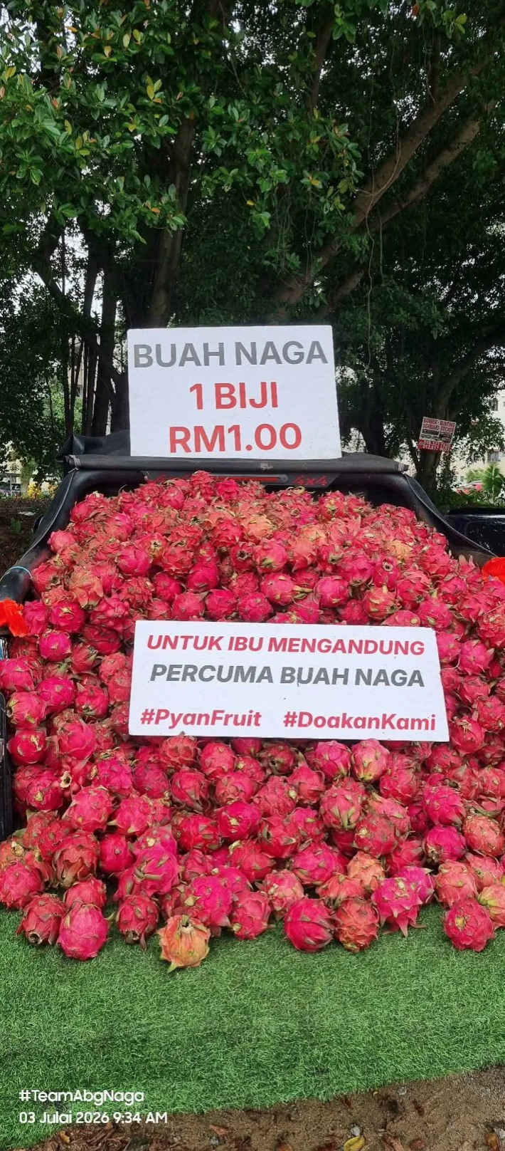 BUAH NAGA