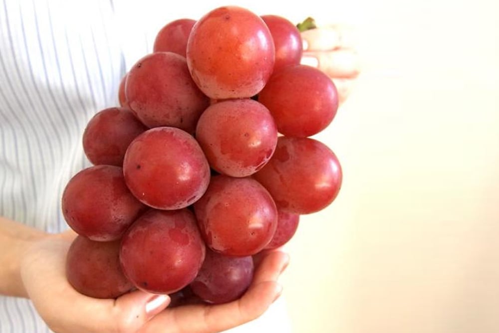 BUAH PALING MAHAL