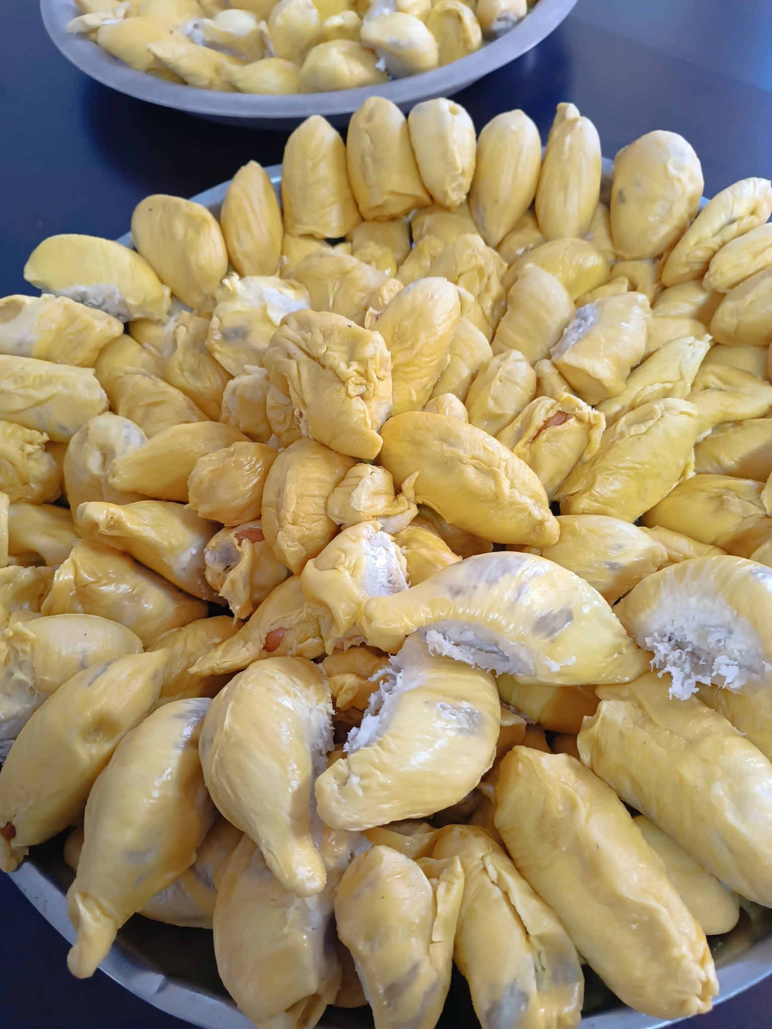 DURIAN MUSANG KING