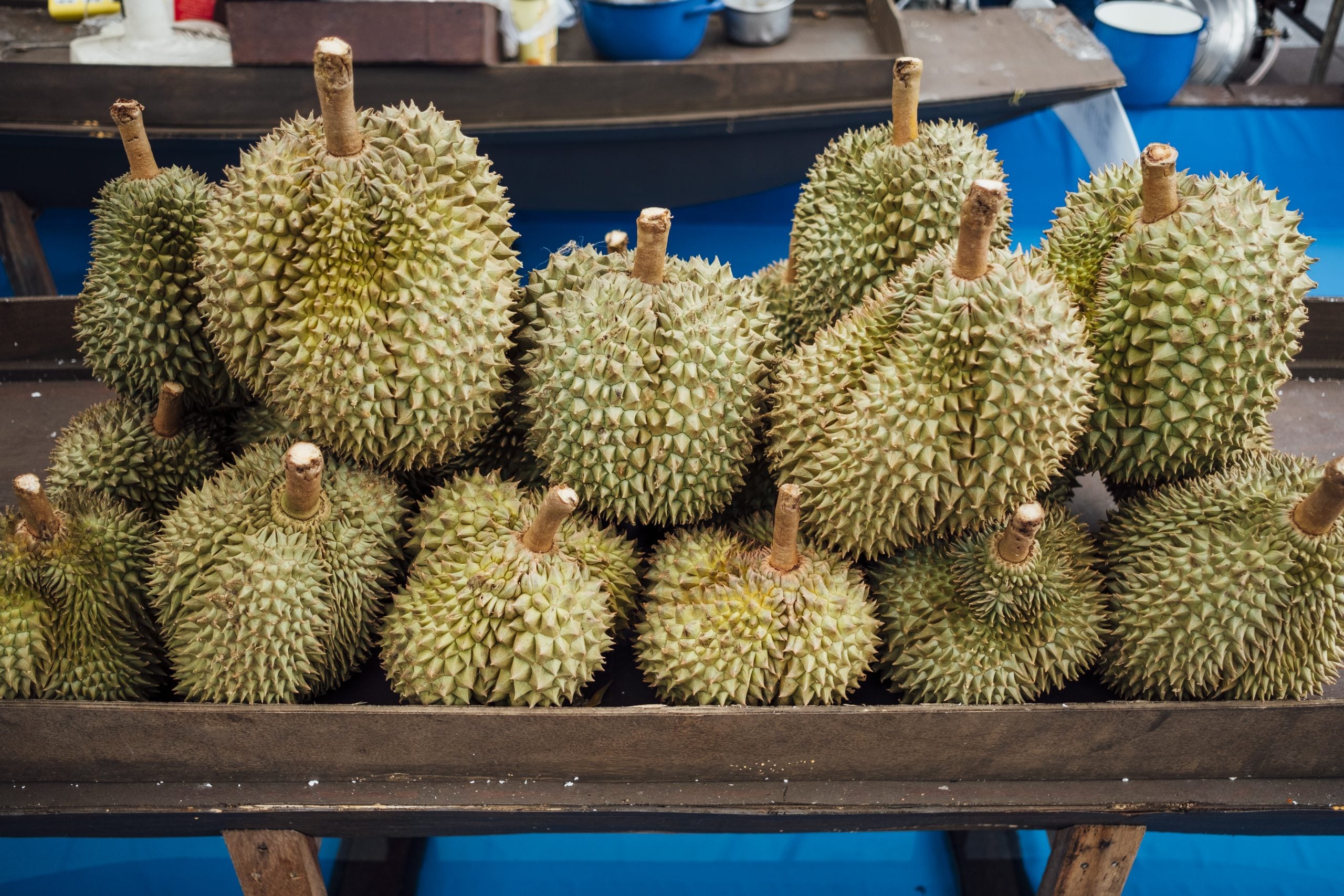 TANAM DURIAN